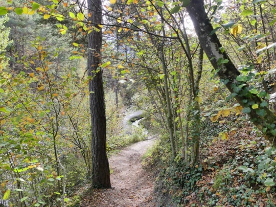 venthone-miege-sierre-180