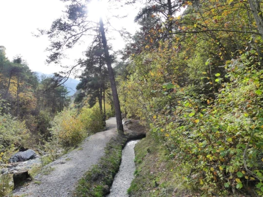venthone-miege-sierre-182
