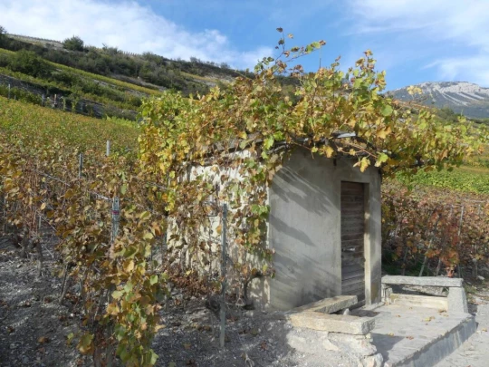venthone-miege-sierre-192