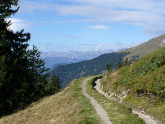 verbier-les-ruinettes-verbier-107