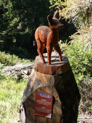 verbier-les-ruinettes-verbier-111