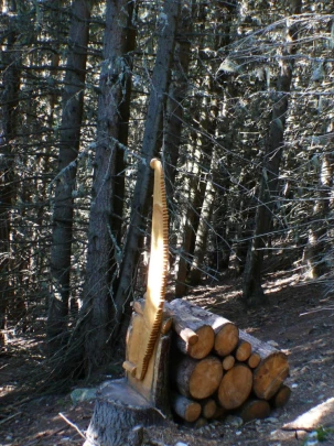 verbier-les-ruinettes-verbier-113