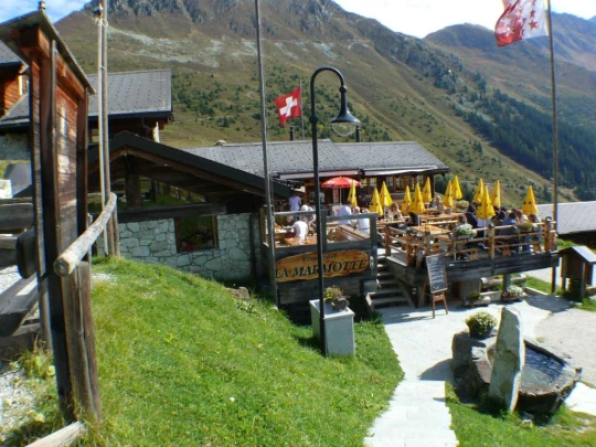 verbier-les-ruinettes-verbier-119