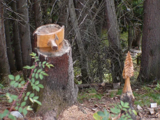 verbier-les-ruinettes-verbier-121