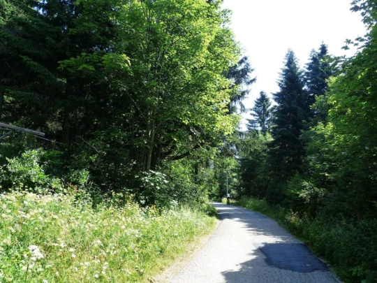 vue-des-alpes-dombresson-105