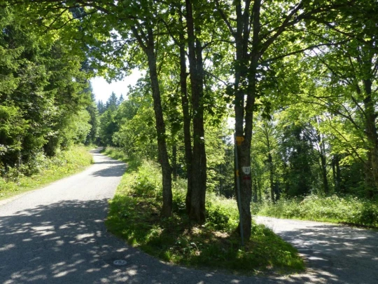 vue-des-alpes-dombresson-109