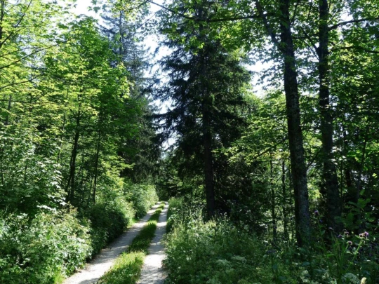 vue-des-alpes-dombresson-110