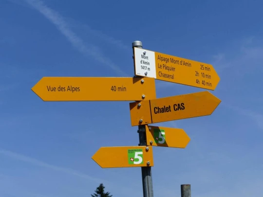 vue-des-alpes-dombresson-112