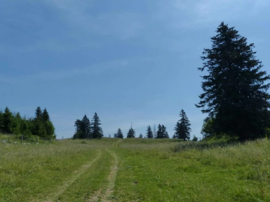 vue-des-alpes-dombresson-113