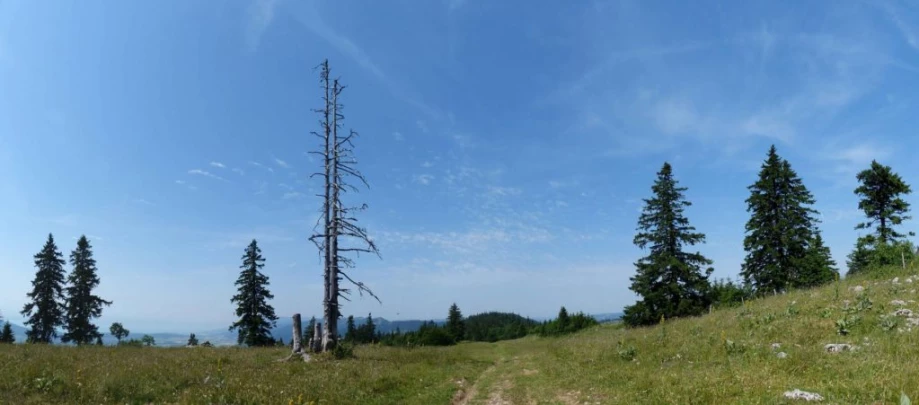 vue-des-alpes-dombresson-116