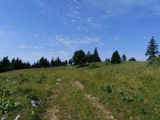 vue-des-alpes-dombresson-119