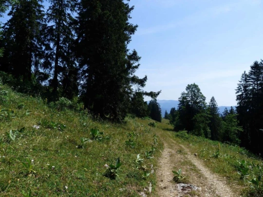 vue-des-alpes-dombresson-120