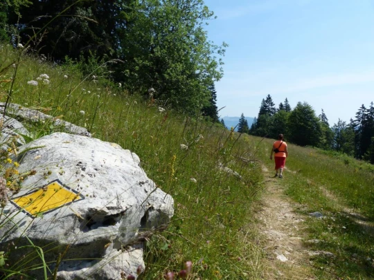 vue-des-alpes-dombresson-121