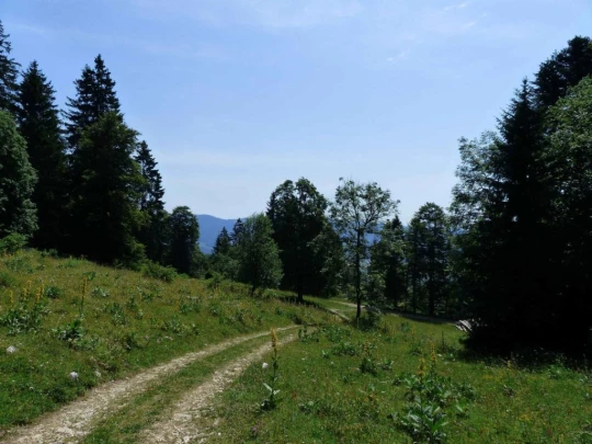 vue-des-alpes-dombresson-127