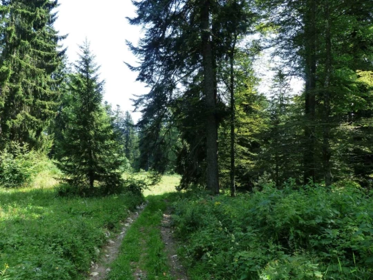 vue-des-alpes-dombresson-128