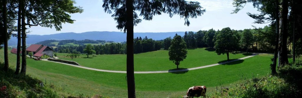 vue-des-alpes-dombresson-131