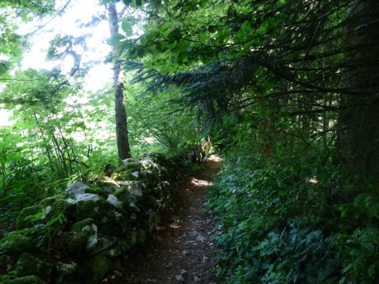 vue-des-alpes-dombresson-135