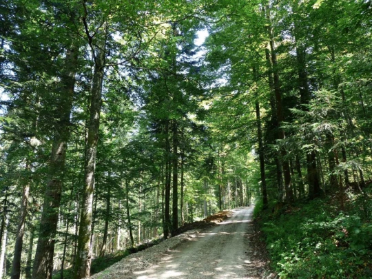 vue-des-alpes-dombresson-140