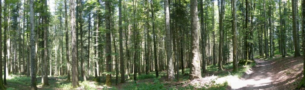 vue-des-alpes-dombresson-142