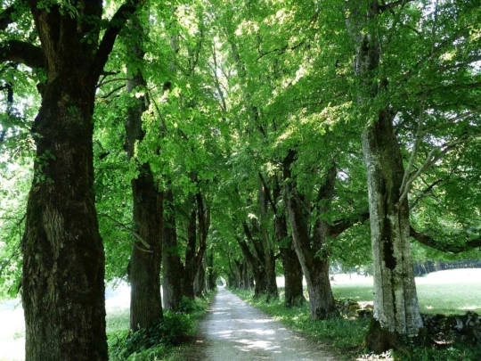 vue-des-alpes-dombresson-143