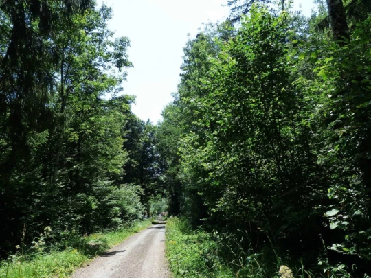 vue-des-alpes-dombresson-146