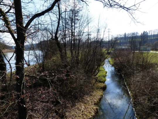 wangen-an-der-aare-murgenthal-125