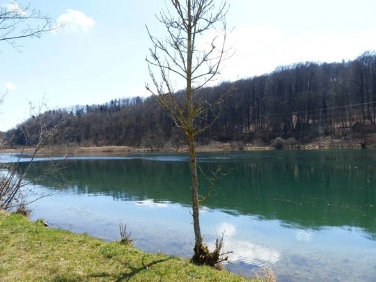 wangen-an-der-aare-murgenthal-136