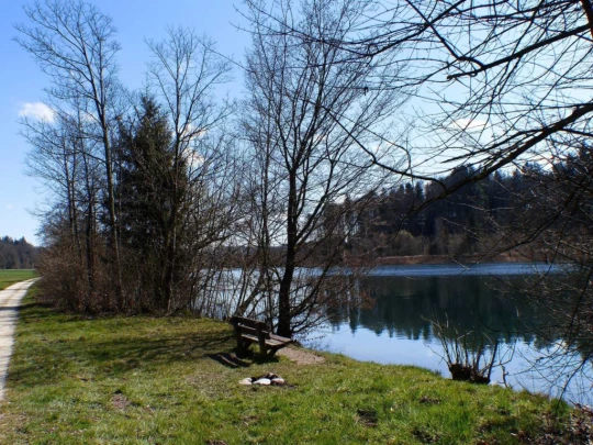 wangen-an-der-aare-murgenthal-137