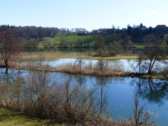 wangen-an-der-aare-murgenthal-149
