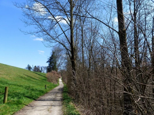 wangen-an-der-aare-murgenthal-150