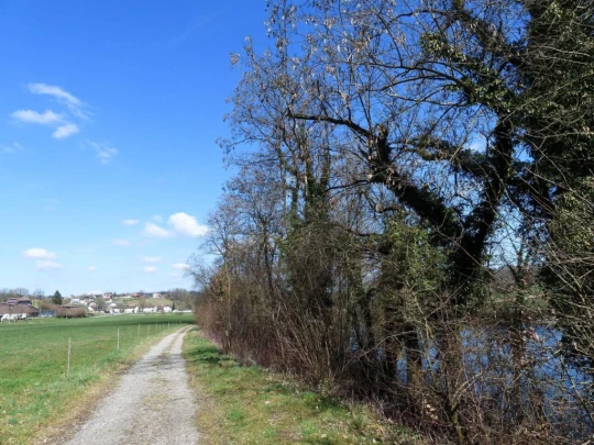 wangen-an-der-aare-murgenthal-153