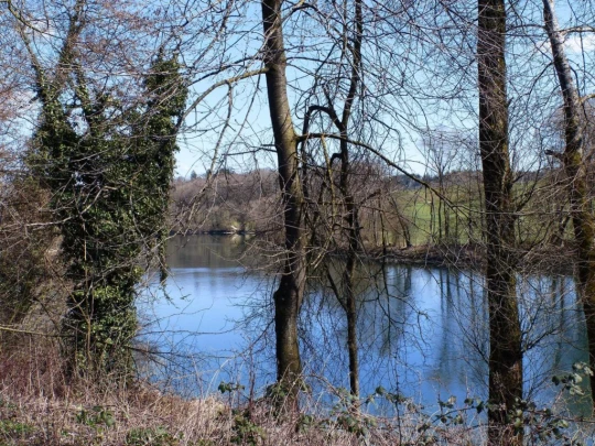 wangen-an-der-aare-murgenthal-154