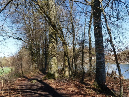 wangen-an-der-aare-murgenthal-158