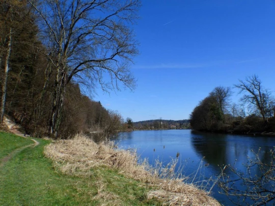 wangen-an-der-aare-murgenthal-162