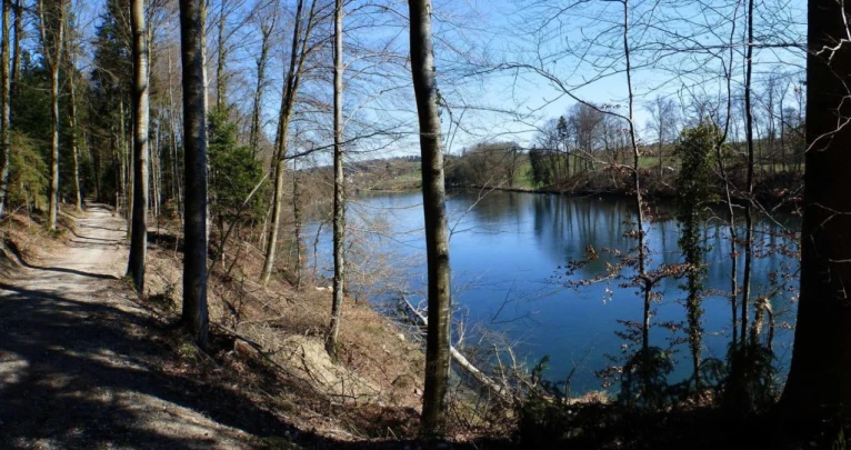 wangen-an-der-aare-murgenthal-166