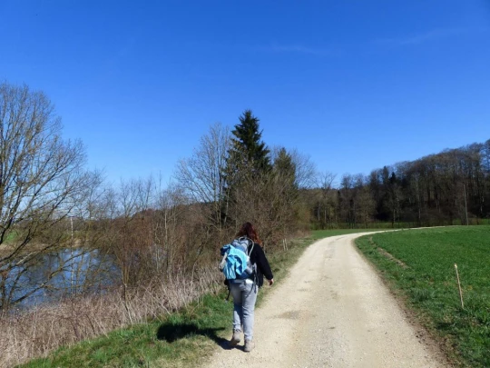 wangen-an-der-aare-murgenthal-174