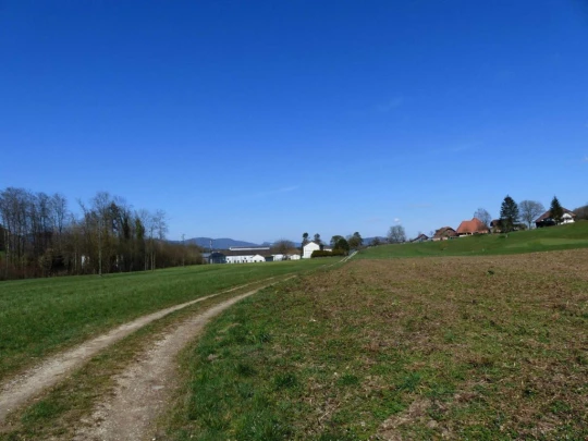 wangen-an-der-aare-murgenthal-176