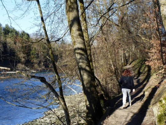 wangen-an-der-aare-murgenthal-209