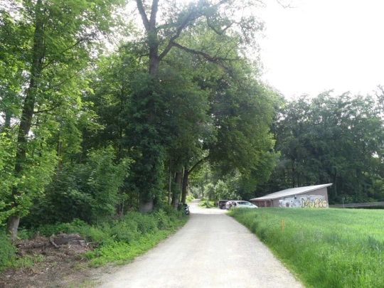 zollikofen-schoenbuhl-101