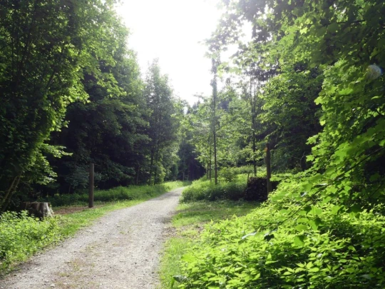 zollikofen-schoenbuhl-103