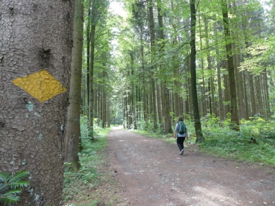zollikofen-schoenbuhl-104