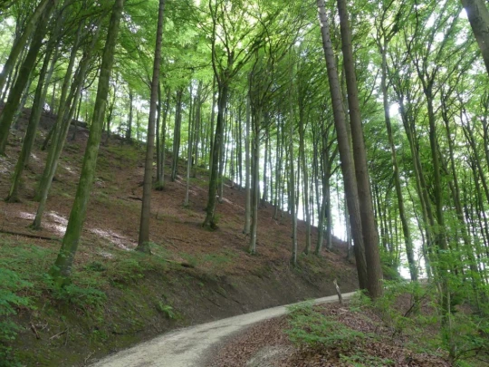 zollikofen-schoenbuhl-111