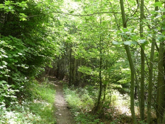 zollikofen-schoenbuhl-113