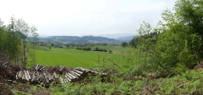 zollikofen-schoenbuhl-115