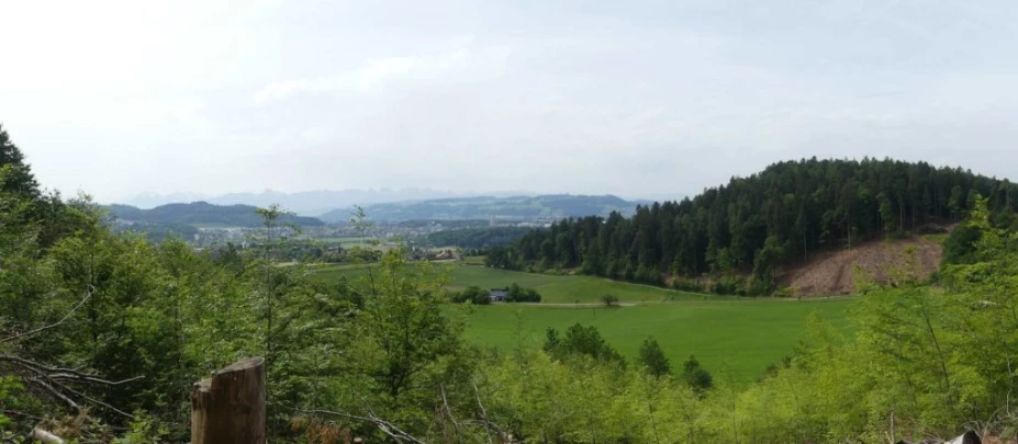 zollikofen-schoenbuhl-116