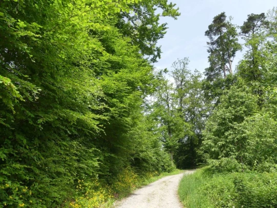 zollikofen-schoenbuhl-122