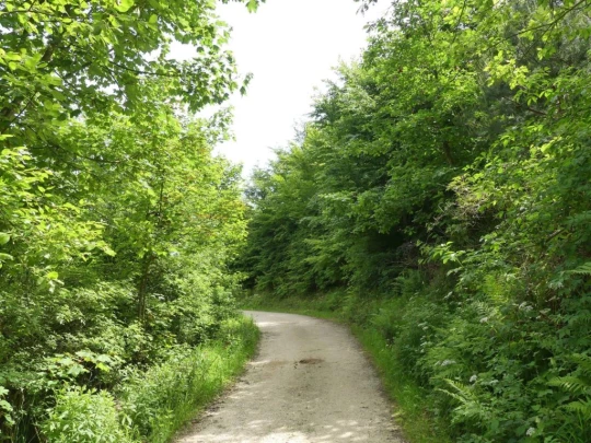 zollikofen-schoenbuhl-126
