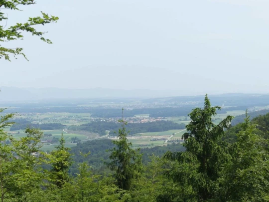 zollikofen-schoenbuhl-127