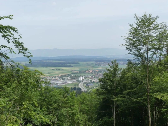 zollikofen-schoenbuhl-128