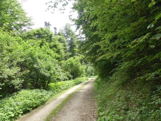 zollikofen-schoenbuhl-129